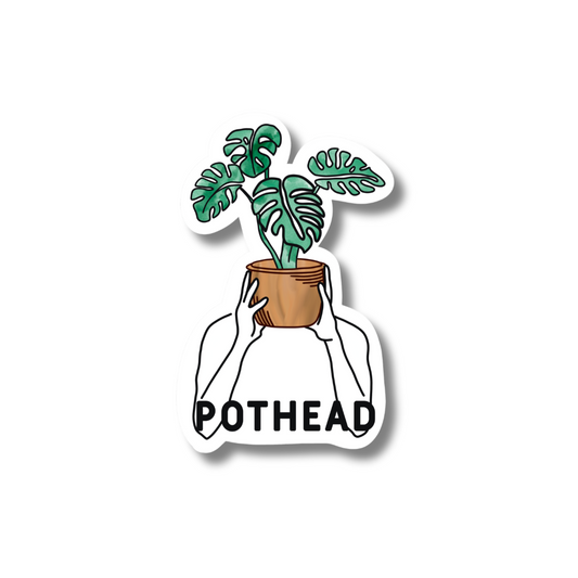 POTHEAD